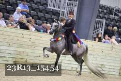 23R13_15454 thumbnail