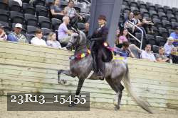 23R13_15455 thumbnail