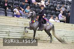 23R13_15456 thumbnail