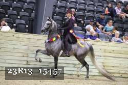 23R13_15457 thumbnail
