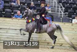 23R13_15459 thumbnail