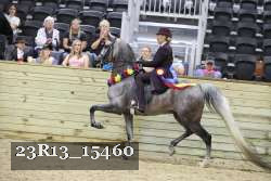 23R13_15460 thumbnail