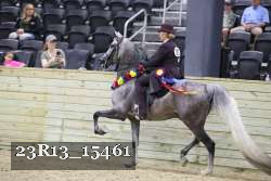 23R13_15461 thumbnail