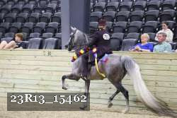 23R13_15462 thumbnail