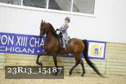 23R13_15487 thumbnail