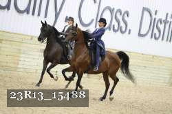 23R13_15488 thumbnail