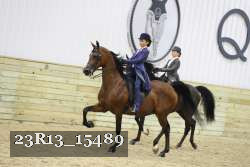 23R13_15489 thumbnail