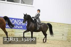 23R13_15490 thumbnail