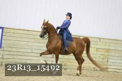 23R13_15492 thumbnail