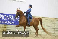 23R13_15493 thumbnail