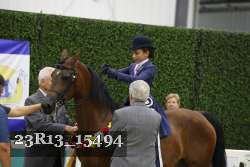 23R13_15494 thumbnail
