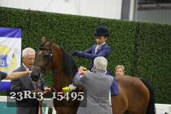 23R13_15495 thumbnail