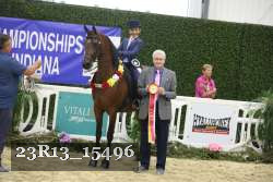 23R13_15496 thumbnail