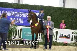23R13_15497 thumbnail