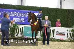 23R13_15498 thumbnail