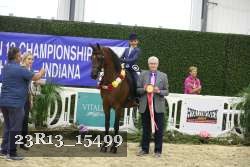 23R13_15499 thumbnail