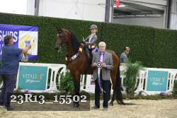 23R13_15502 thumbnail