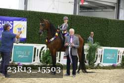 23R13_15503 thumbnail