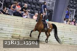 23R13_15504 thumbnail