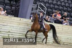 23R13_15505 thumbnail