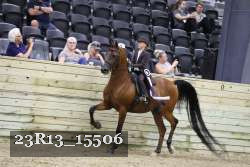 23R13_15506 thumbnail
