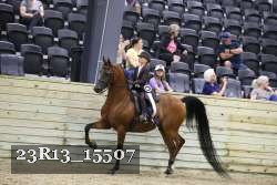 23R13_15507 thumbnail