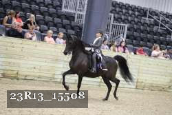 23R13_15508 thumbnail