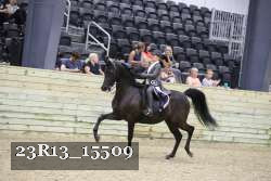 23R13_15509 thumbnail