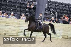 23R13_15510 thumbnail