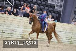 23R13_15512 thumbnail