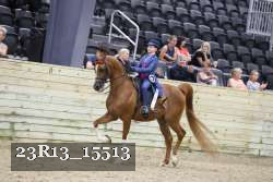 23R13_15513 thumbnail