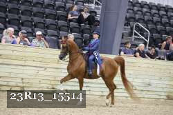 23R13_15514 thumbnail