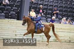 23R13_15515 thumbnail