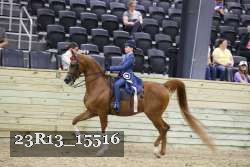 23R13_15516 thumbnail