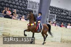 23R13_15517 thumbnail
