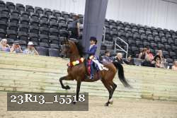 23R13_15518 thumbnail