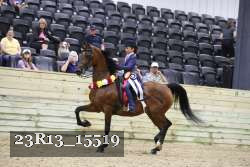 23R13_15519 thumbnail