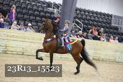 23R13_15523 thumbnail
