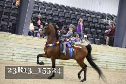 23R13_15524 thumbnail