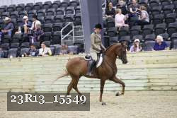 23R13_15549 thumbnail