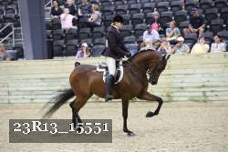 23R13_15551 thumbnail