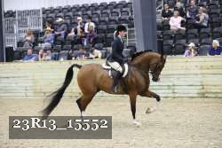 23R13_15552 thumbnail