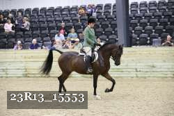 23R13_15553 thumbnail