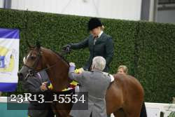 23R13_15554 thumbnail