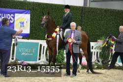 23R13_15555 thumbnail