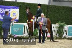 23R13_15556 thumbnail