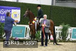 23R13_15557 thumbnail