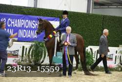 23R13_15559 thumbnail