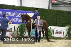 23R13_15561 thumbnail
