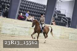 23R13_15562 thumbnail